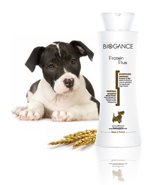 bioganceproteine.jpg