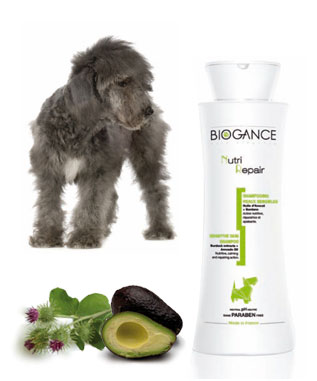 biogancereparateur.jpg