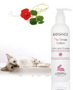 lotionbiog.jpg